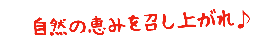 自然の恵みを召し上がれ♪