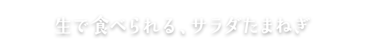 生で食べられる、サラダたまねぎ