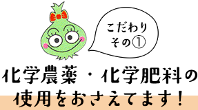 こだわりその2 化学農薬・化学肥料の使用をおさえてます！