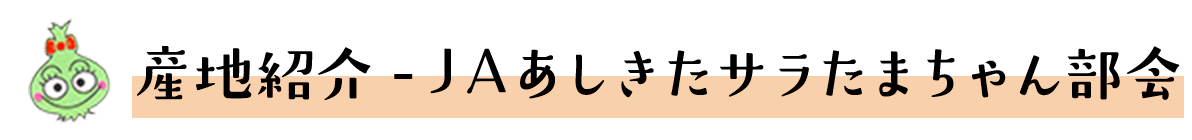 産地紹介 - ＪＡあしきたサラたまちゃん部会