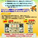 ひと・いえ・くるま「お見積りキャンペーン」