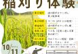 稲刈り体験開催のお知らせ